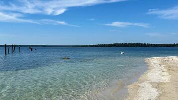 En vacker strand med stilla vatten, en sandstrand och en skogslinje i fjärran.