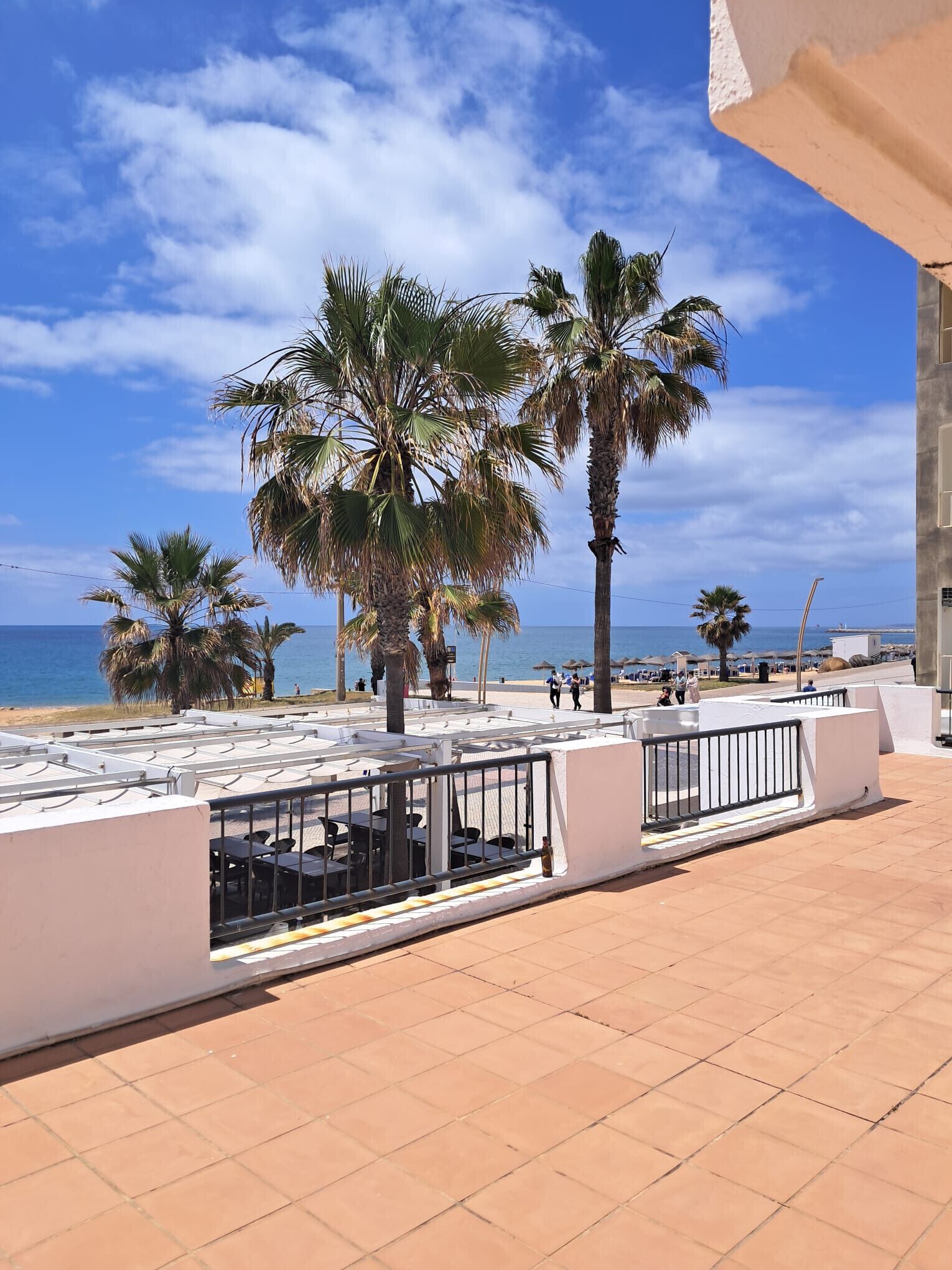 A terrace with outdoor seating, palm trees, and a view of the sea.