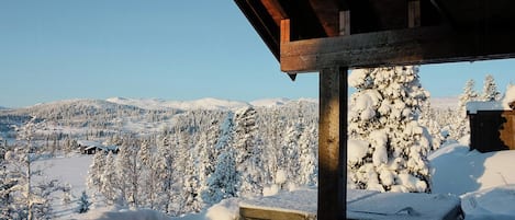 Ulkoalueet