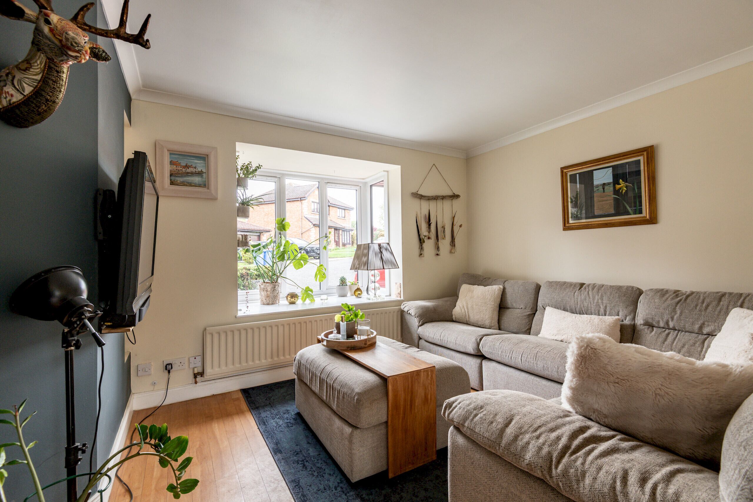 A living room with a sofa, a coffee table, a lamp, a plant, and a window with a view of houses.