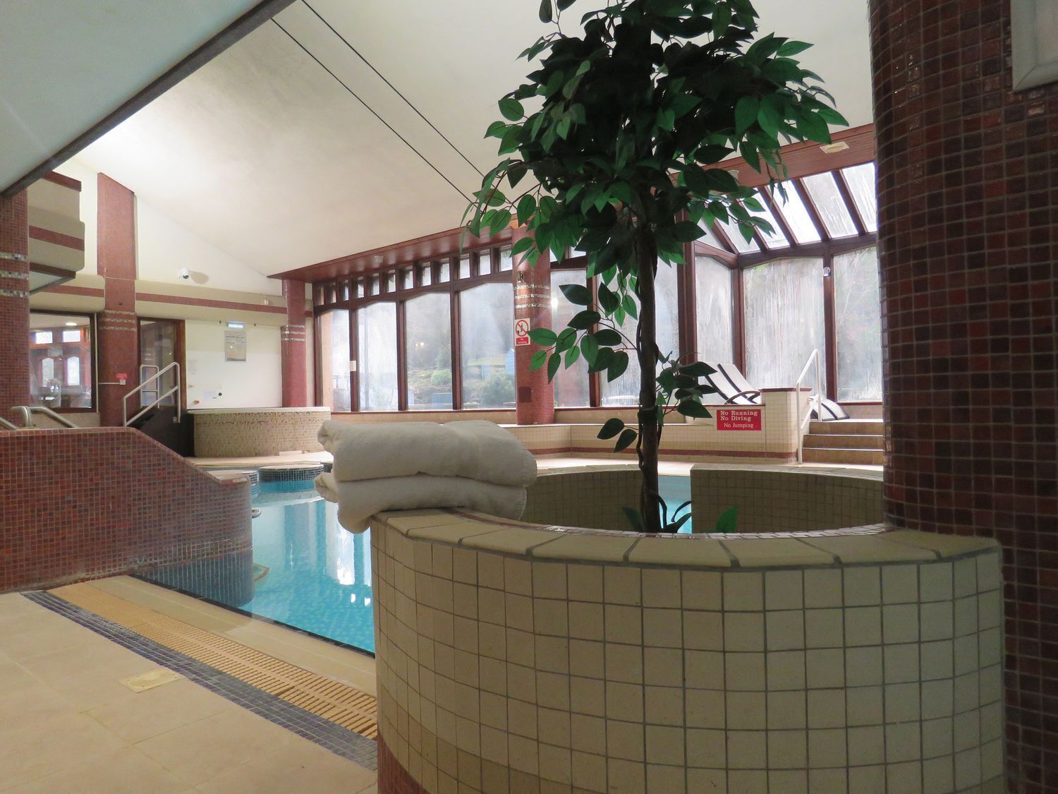 Una piscina interior con pared de azulejos, un banco y una planta en maceta.