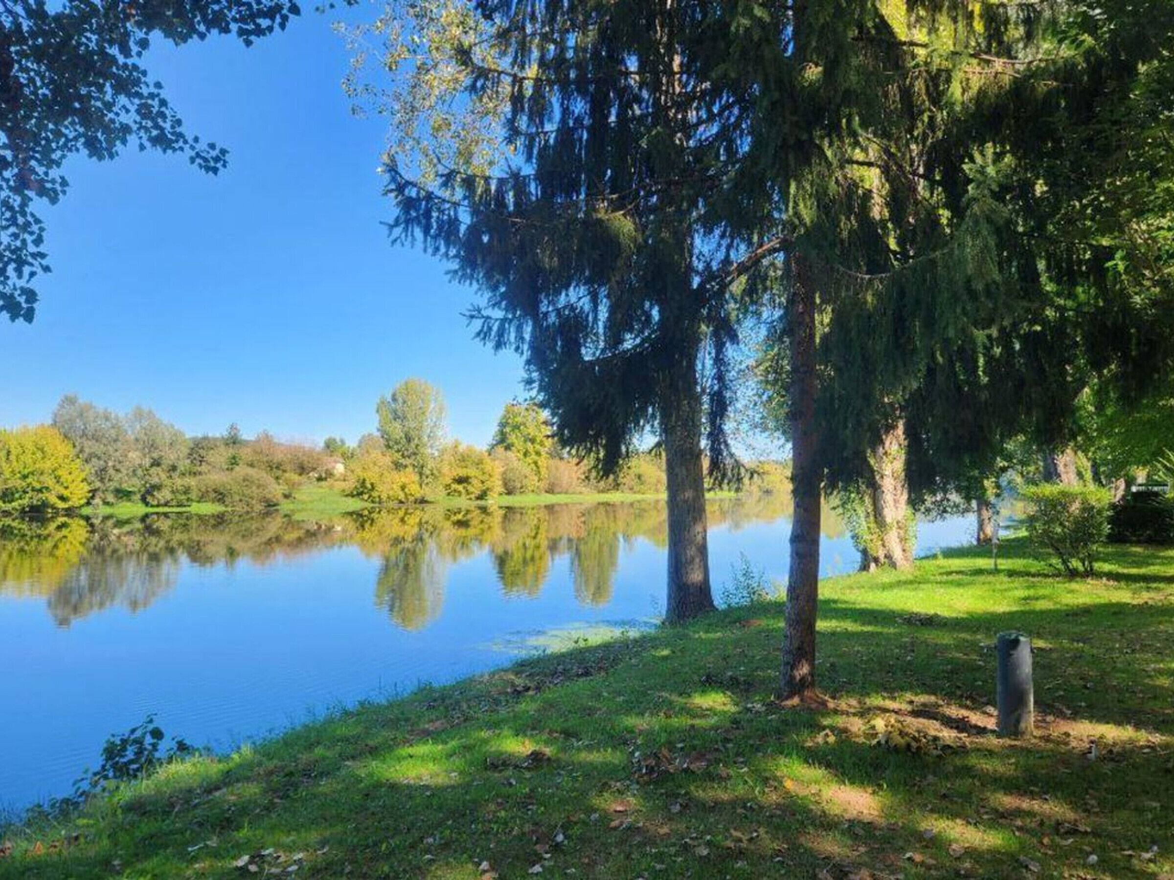 A calm lake with trees reflecting on the water, surrounded by greenery.