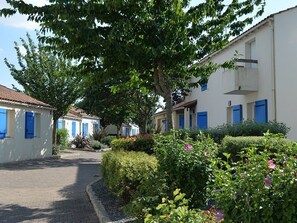 Eine Reihe weißer Häuser mit blauen Fensterläden, umgeben von Grünpflanzen und einem gepflasterten Weg.