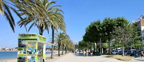 A kiosk with maps and information on the beach, palm trees, and a clear blue sky.