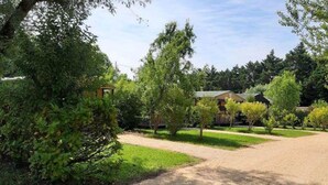 A gravel driveway leading to a building surrounded by trees and greenery.