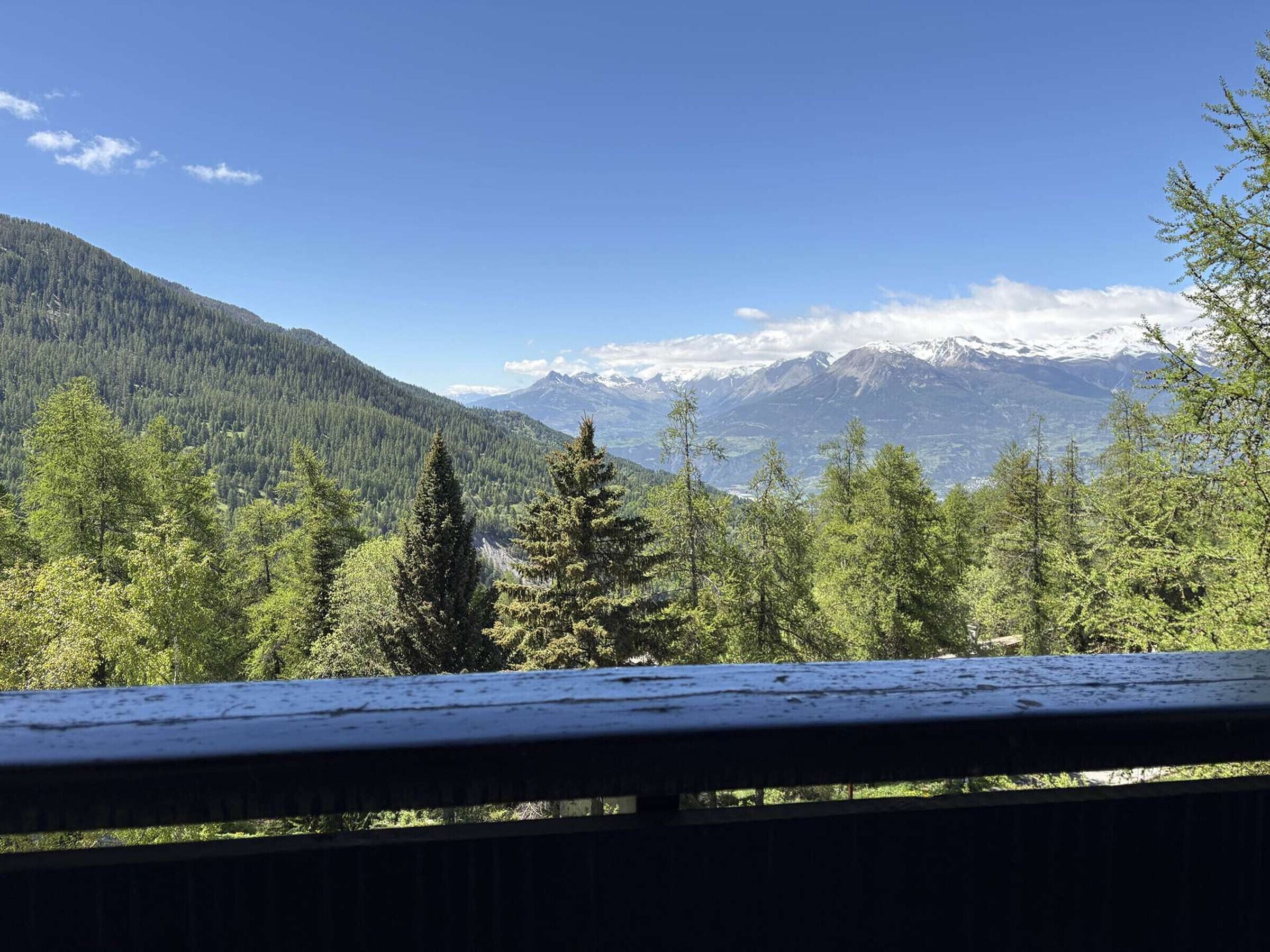 A mountainous landscape with dense forest and snow-capped peaks.