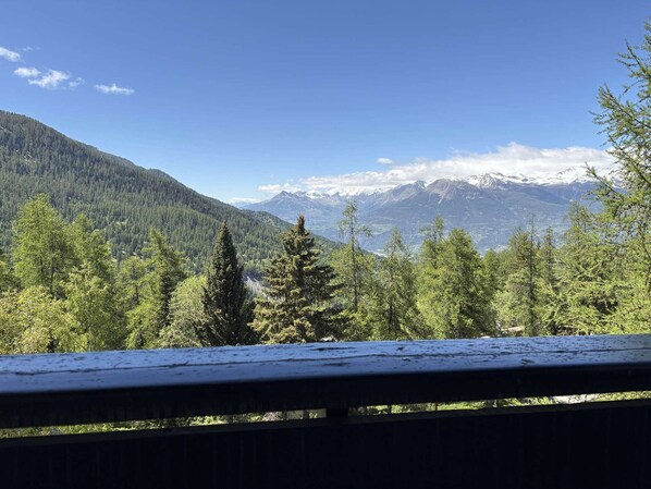 A mountainous landscape with dense forest and snow-capped peaks. - Studio in resort, valley view - 4 guests (Les Orres)