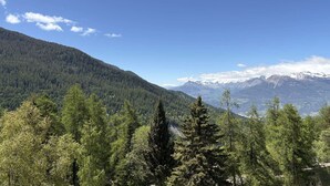 Een bergachtig landschap met dicht bos en besneeuwde toppen onder een heldere lucht.