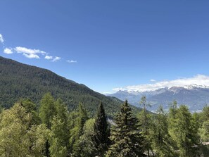 A mountainous landscape with dense forest and snow-capped peaks under a clear sky. - Studio in resort, valley view - 4 guests (Les Orres)