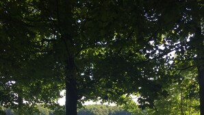 Ein Sitzbereich am Seeufer mit Stühlen und einem Tisch, umgeben von Bäumen und Seeblick.