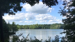 Ein See, umgeben von dichtem Wald, mit blauem Himmel darüber.