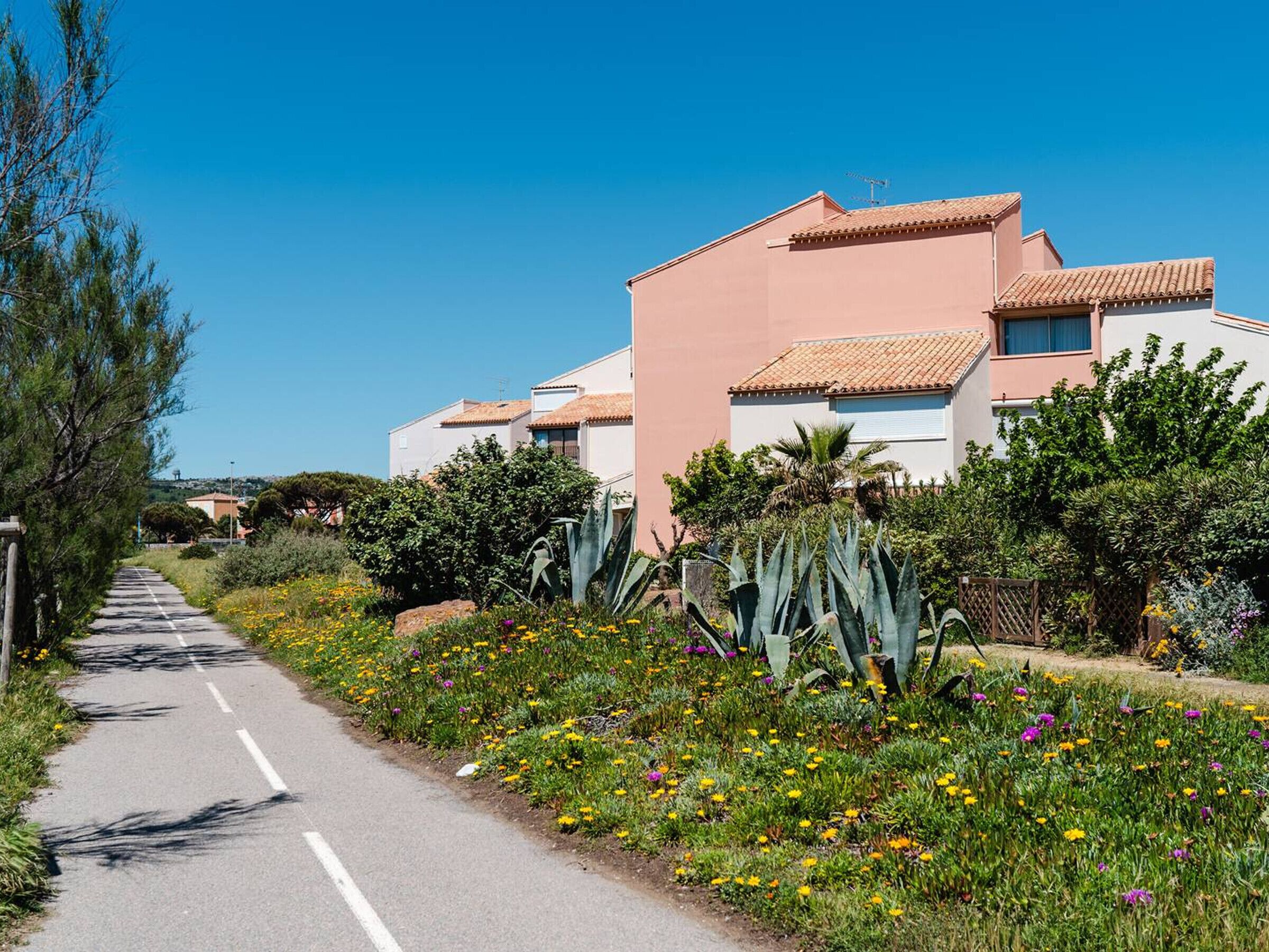 Un camino que lleva a un edificio de techo plano y jardín con diversas plantas y flores.
