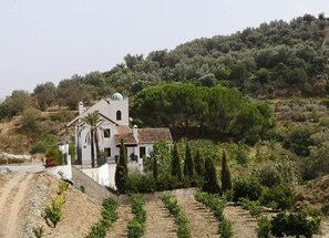 A white building with a dome roof, surrounded by olive trees and a hilly landscape.