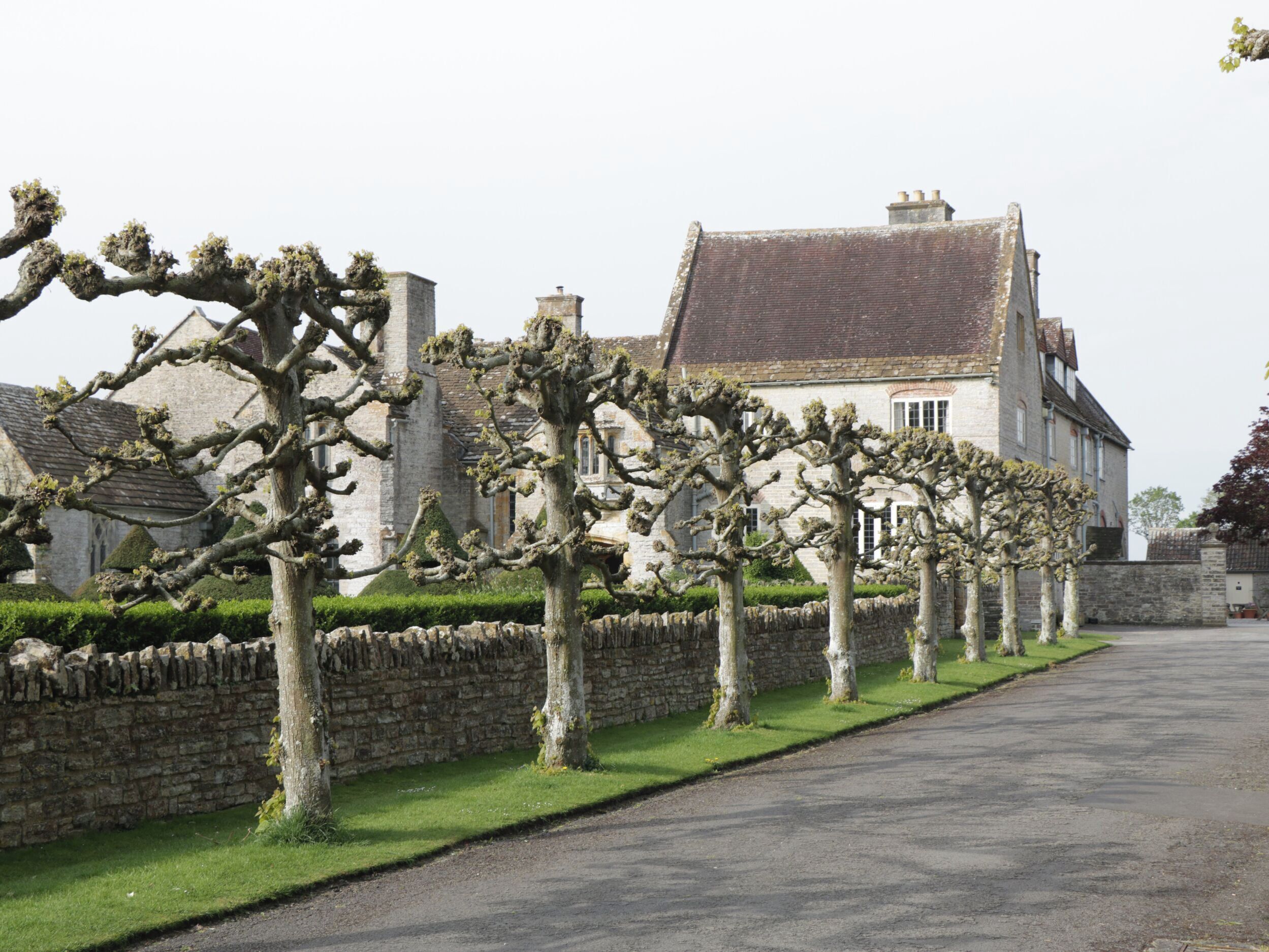Un mur de pierre, avec une rangée d’arbres devant un bâtiment dont le toit est recouvert de tuiles.