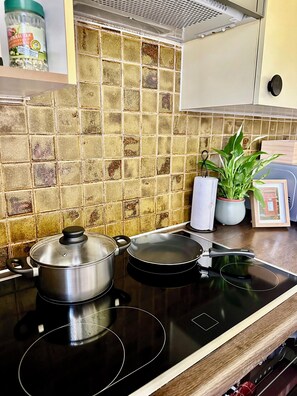 Fridge, microwave, oven, stovetop - Spacious Apartment- Zurich Airport- Parking (Dietlikon)