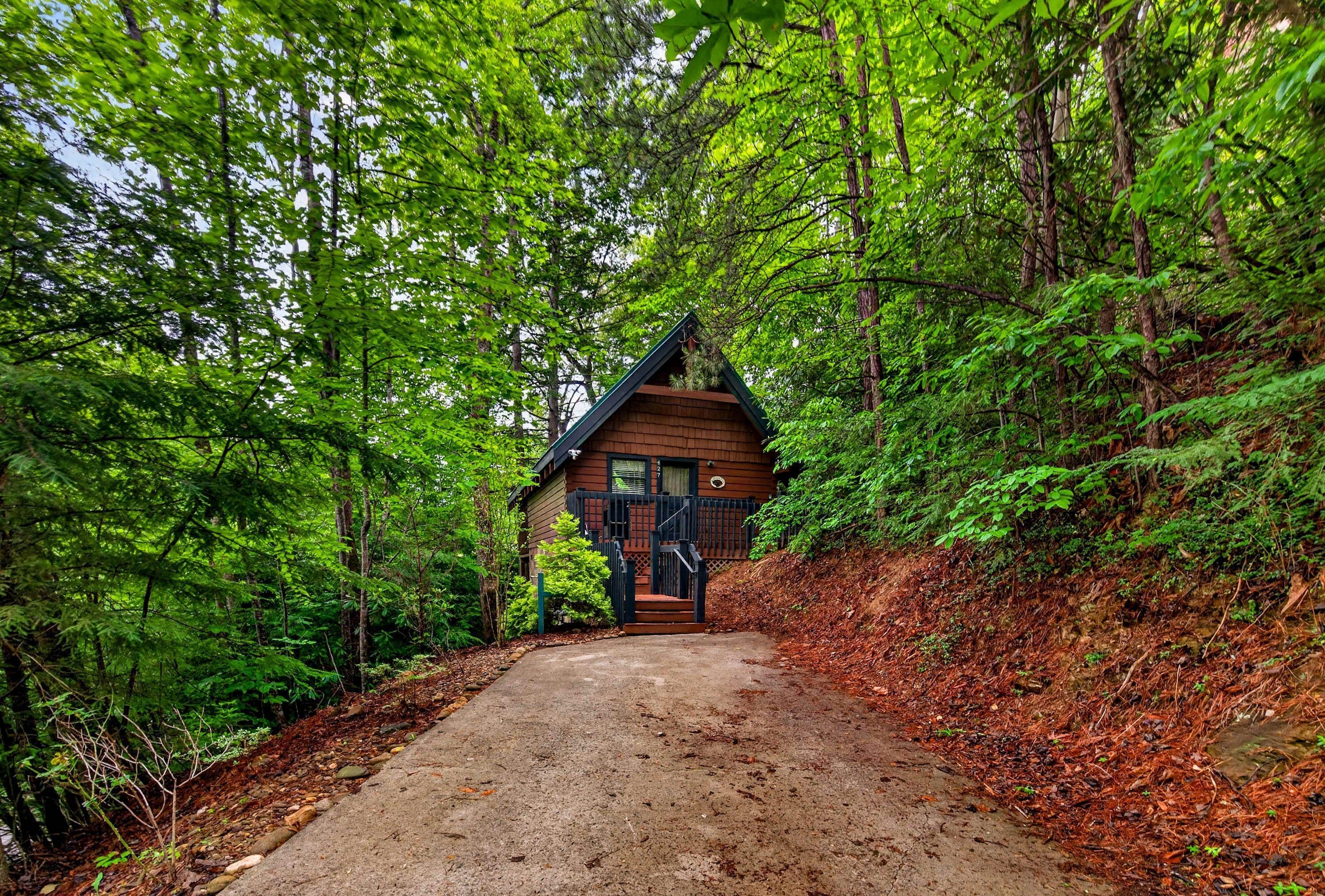 A cabin with a dirt path leading to it, surrounded by dense forest.
