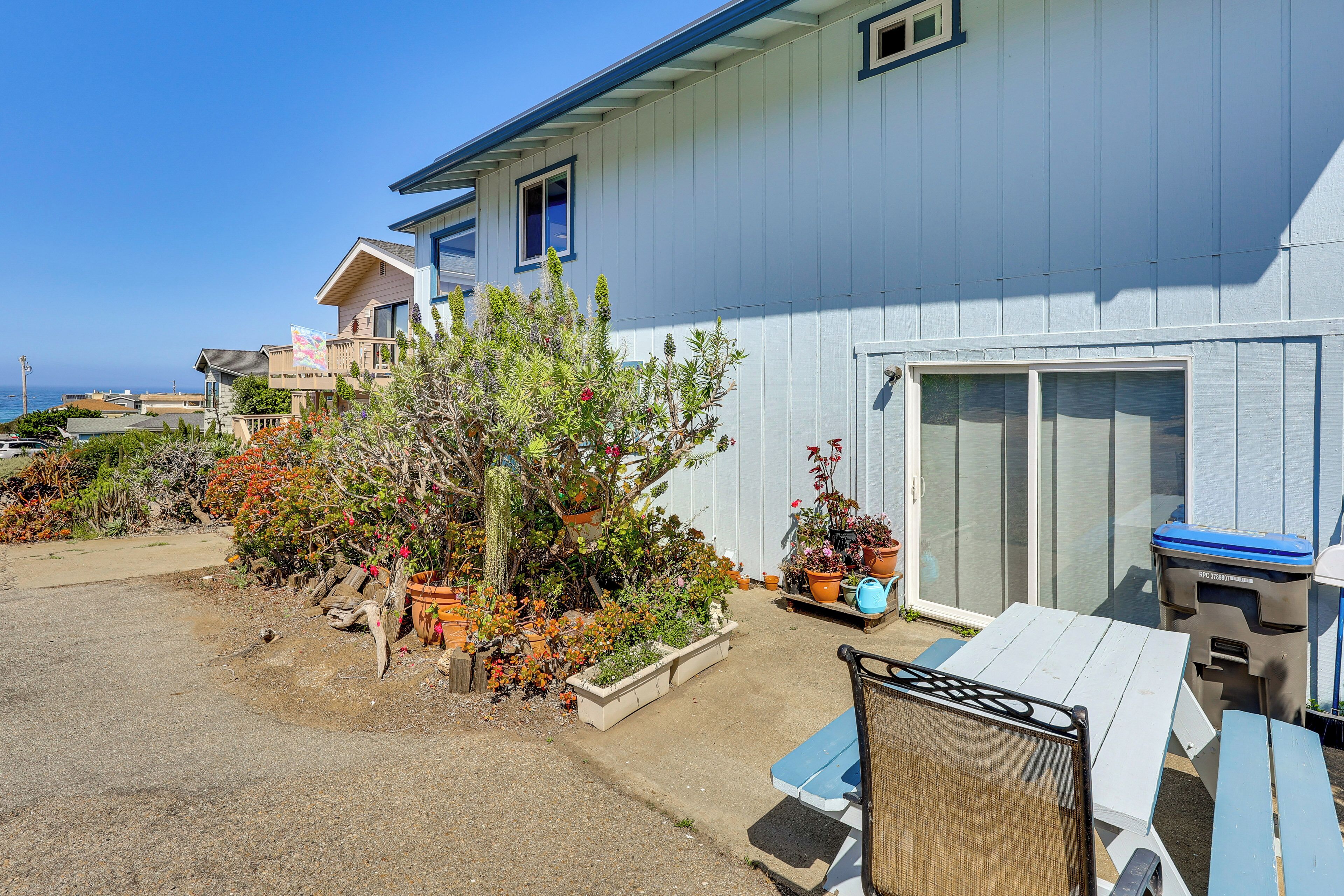 A residential property with a patio, potted plants, and a sliding glass door.