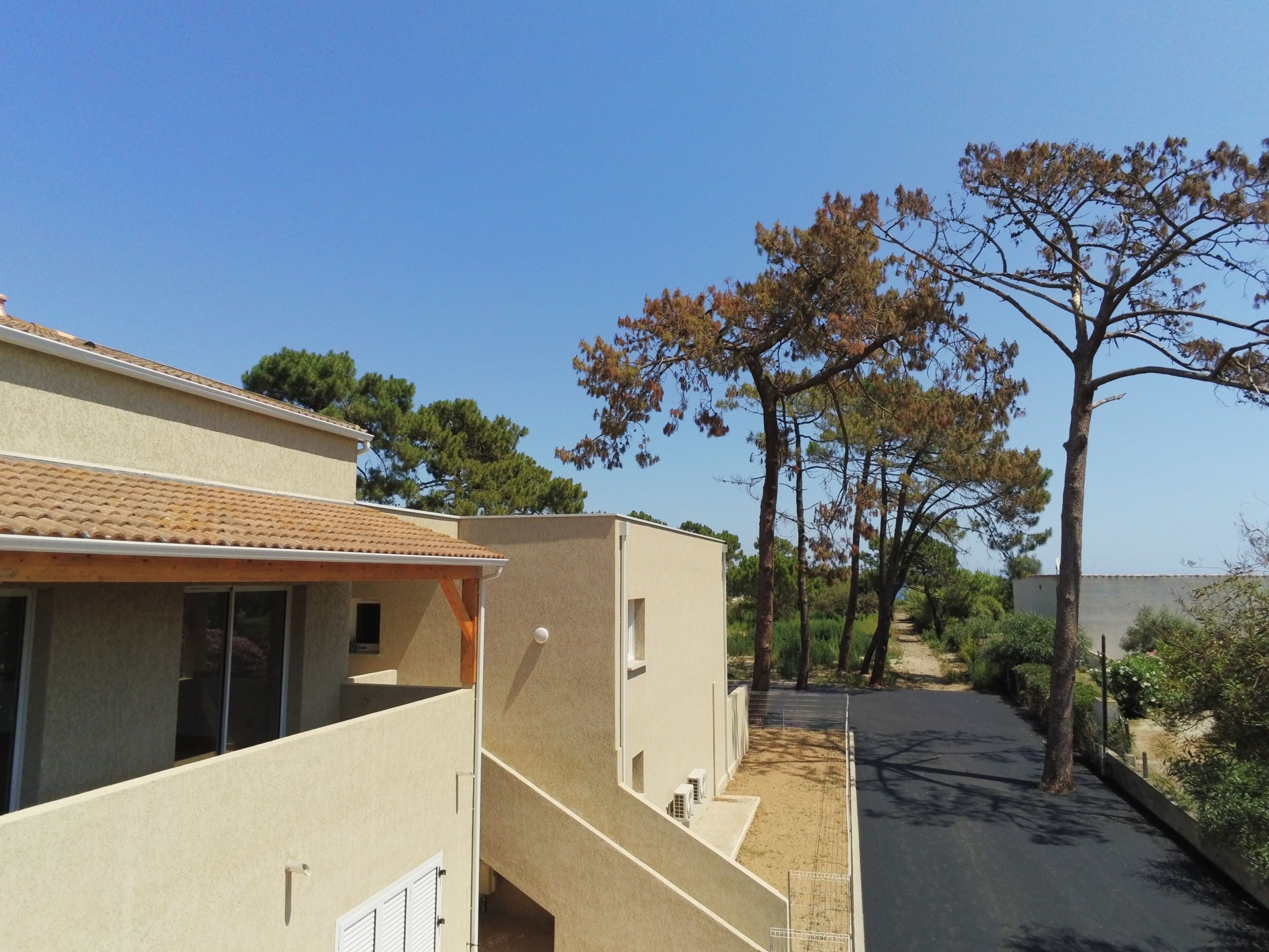 A residential area with a two-story building, a paved driveway, and trees.