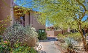 A building with a pathway, surrounded by various plants and a tree. - Spectacular City View from Picture Window and Mountains from screened Patio (Tucson)