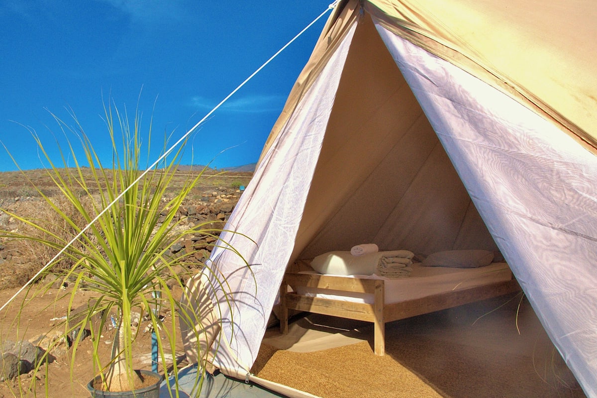 A tent with a bed inside, a potted plant outside, and a clear sky.