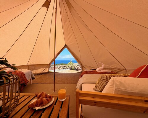 The Treehouse Surf Camp