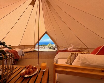 The Treehouse Surf Camp
