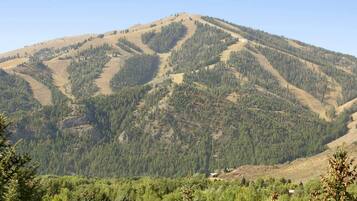 Eine Berglandschaft mit dichten Wäldern und blauem Himmel.