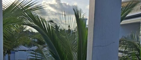 Classic Apartment | Balcony