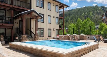 Remodeled 1 bedroom, private patio, walk to WP Resort