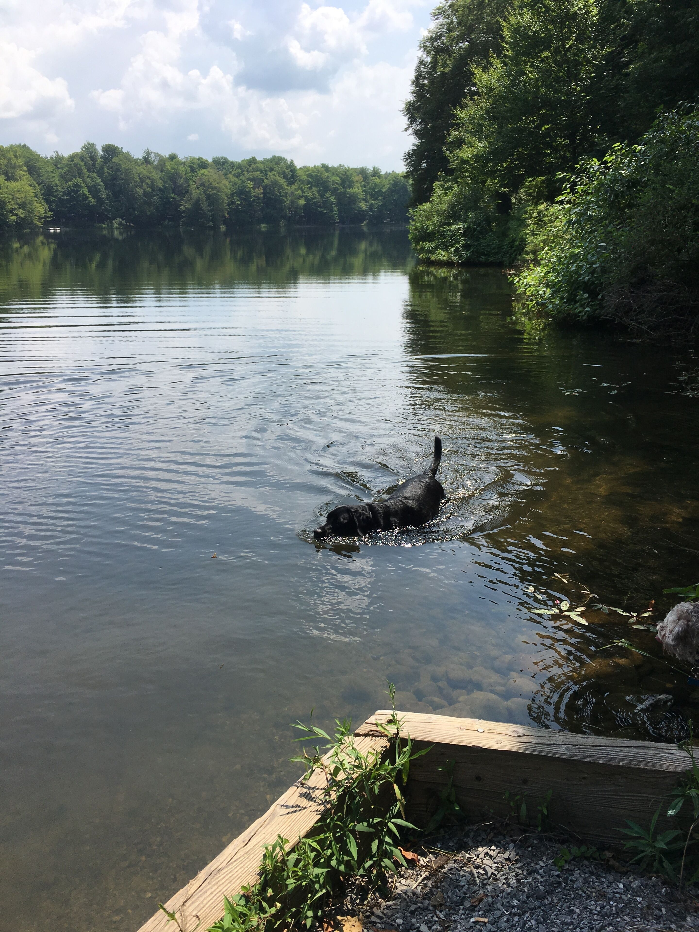 Divers