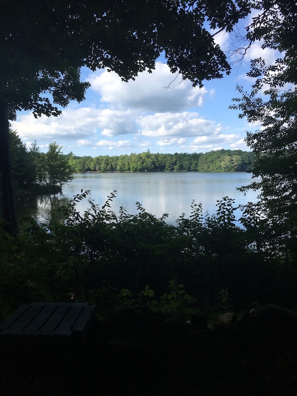 A lake surrounded by dense trees, with a clear sky above.