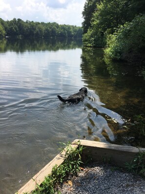 Miscellaneous - Woodsy campground , trails, pool, hot tub, showers , beach , play ground, movies (Bliss)