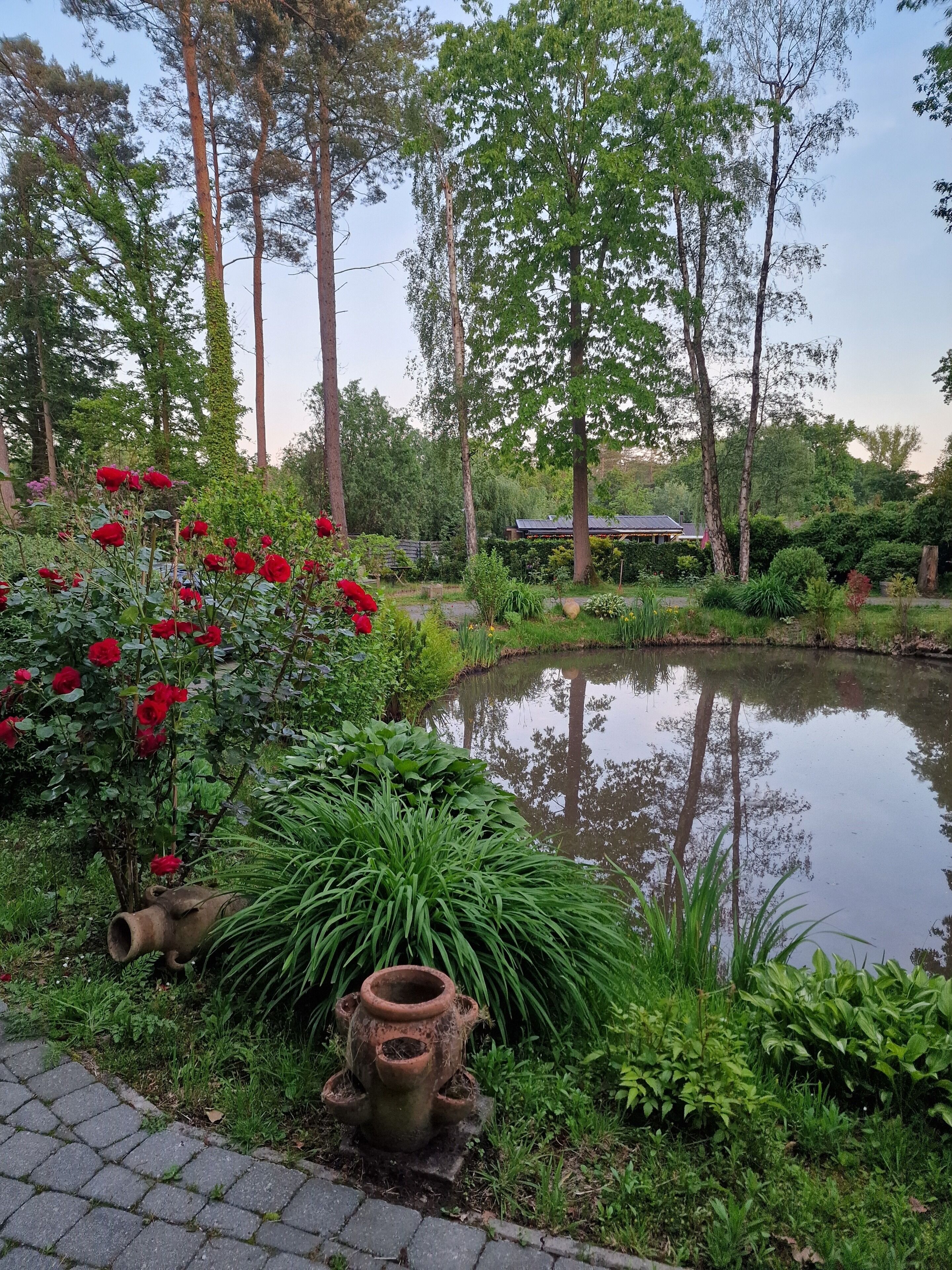 A serene garden with a pond, lush greenery, and a rustic pot.