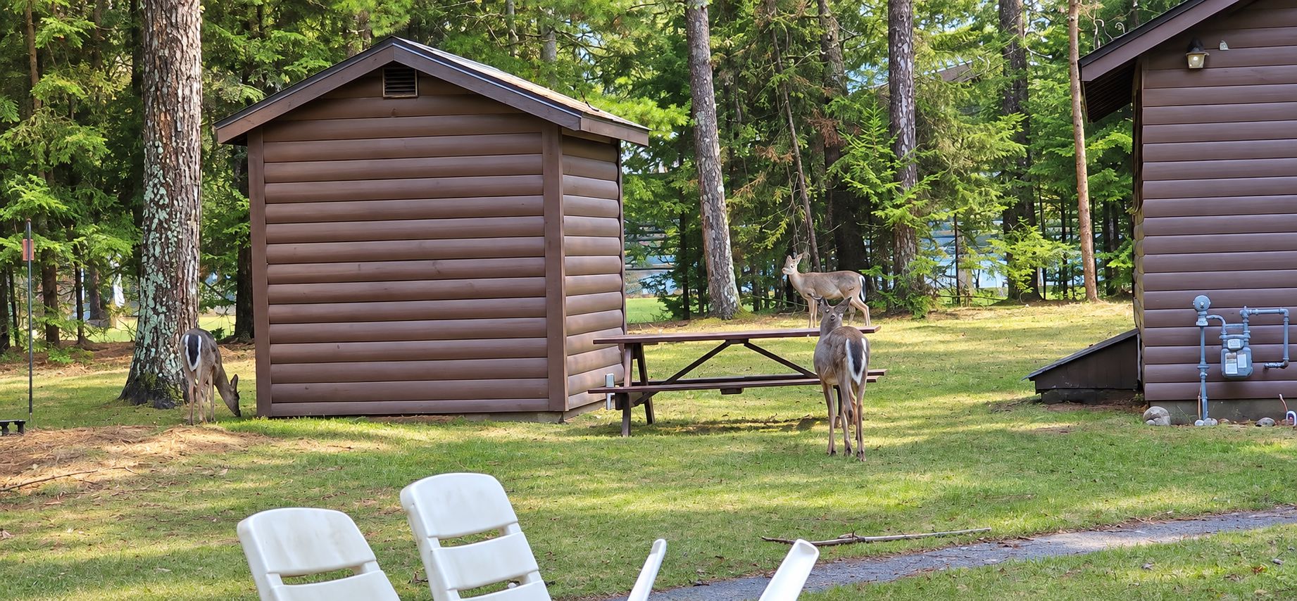 A cabin with a picnic table and two white chairs in a wooded area.
