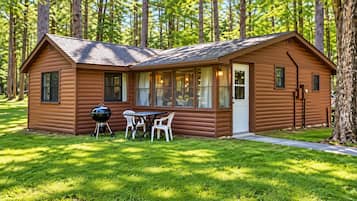 Cozy woodland cabin with lawn, grill, and peaceful outdoor seating