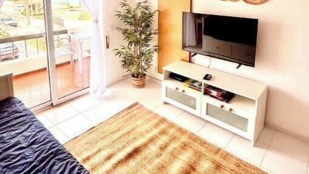 Une chambre avec un lit, une télévision, une plante et une porte-fenêtre coulissante donnant sur un balcon.