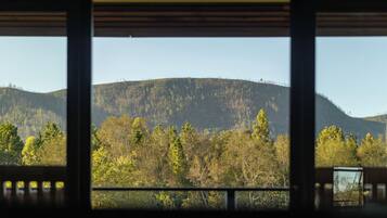 Suite, Patio, Mountain View | Mountain view