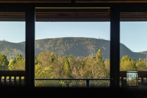 A view through a window with a wooden frame, a mountain, and trees in the foreground.