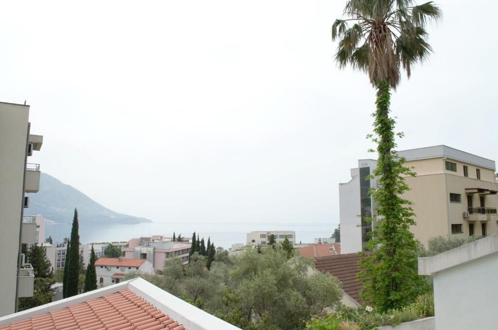Zona residencial con edificios, una palmera y una montaña al fondo.