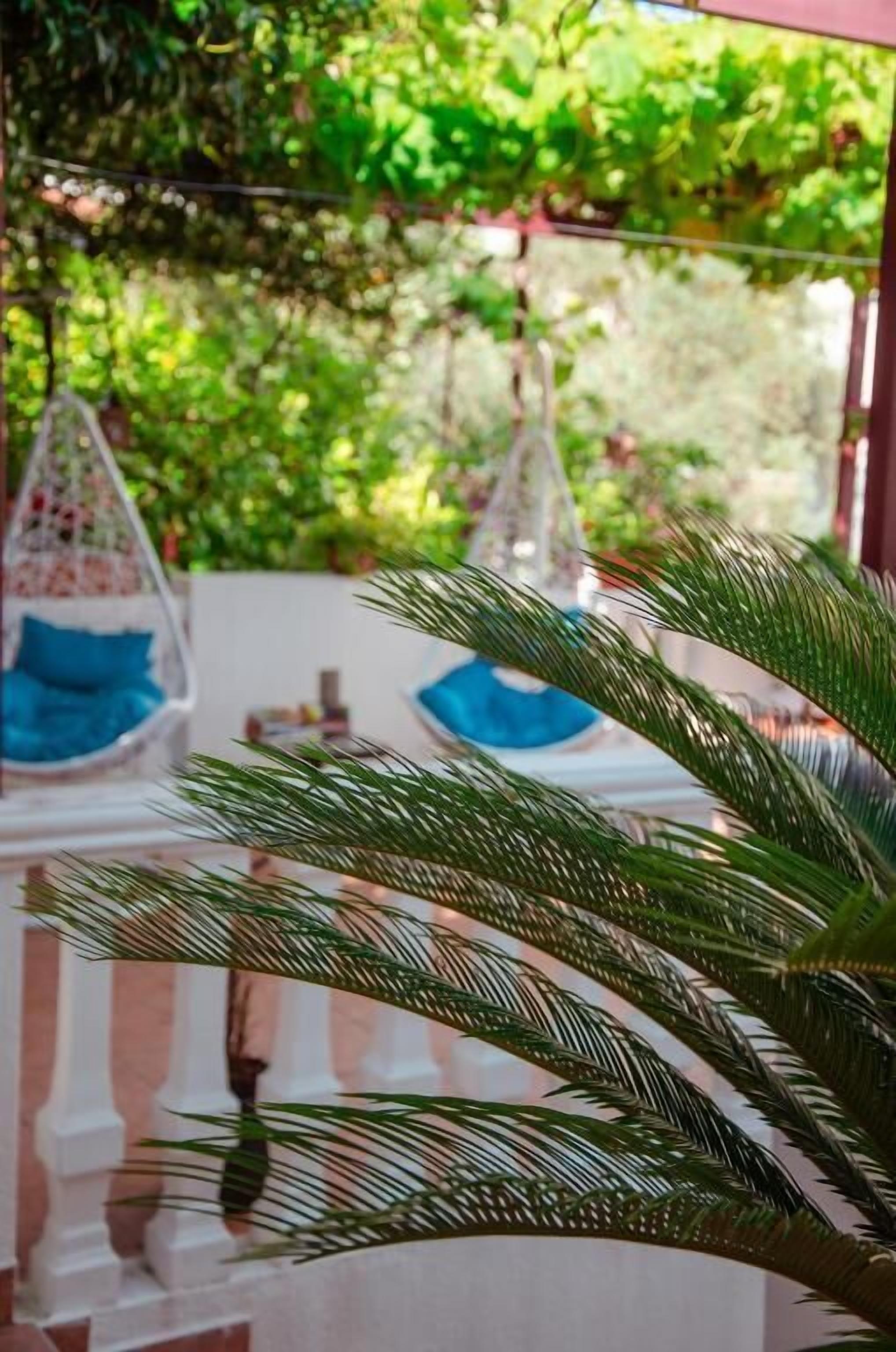 Una habitación con una cama blanca, un sillón colgante y una planta grande.