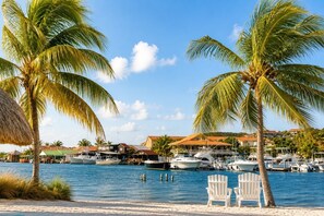 Ein Strand mit Palmen, eine Marina mit Booten und Gebäude im Hintergrund.