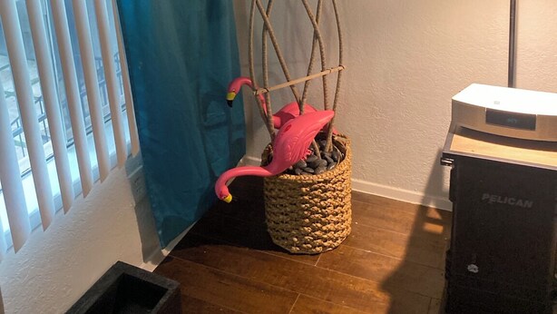 Et værelse med en potteplante, en skraldespand og en lampe.