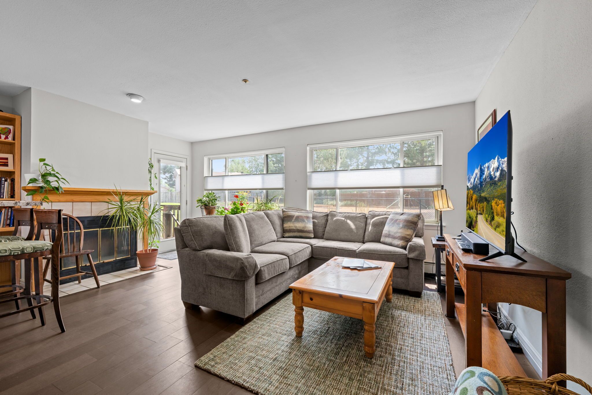 Smart TV, fireplace, computer monitors