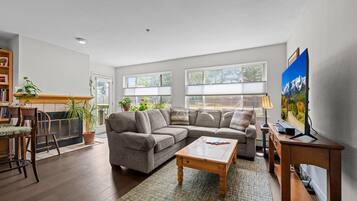 Smart TV, fireplace, computer monitors