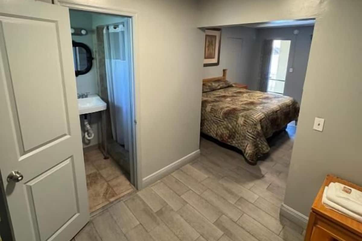 A bedroom with a bed, a bathroom with a shower, and a door leading to another room.