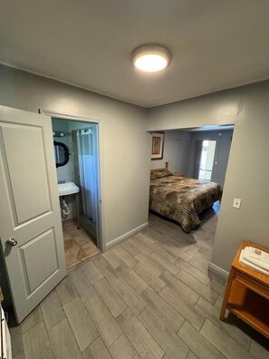 A bedroom with a bed, a bathroom with a shower, and a door leading to another room.