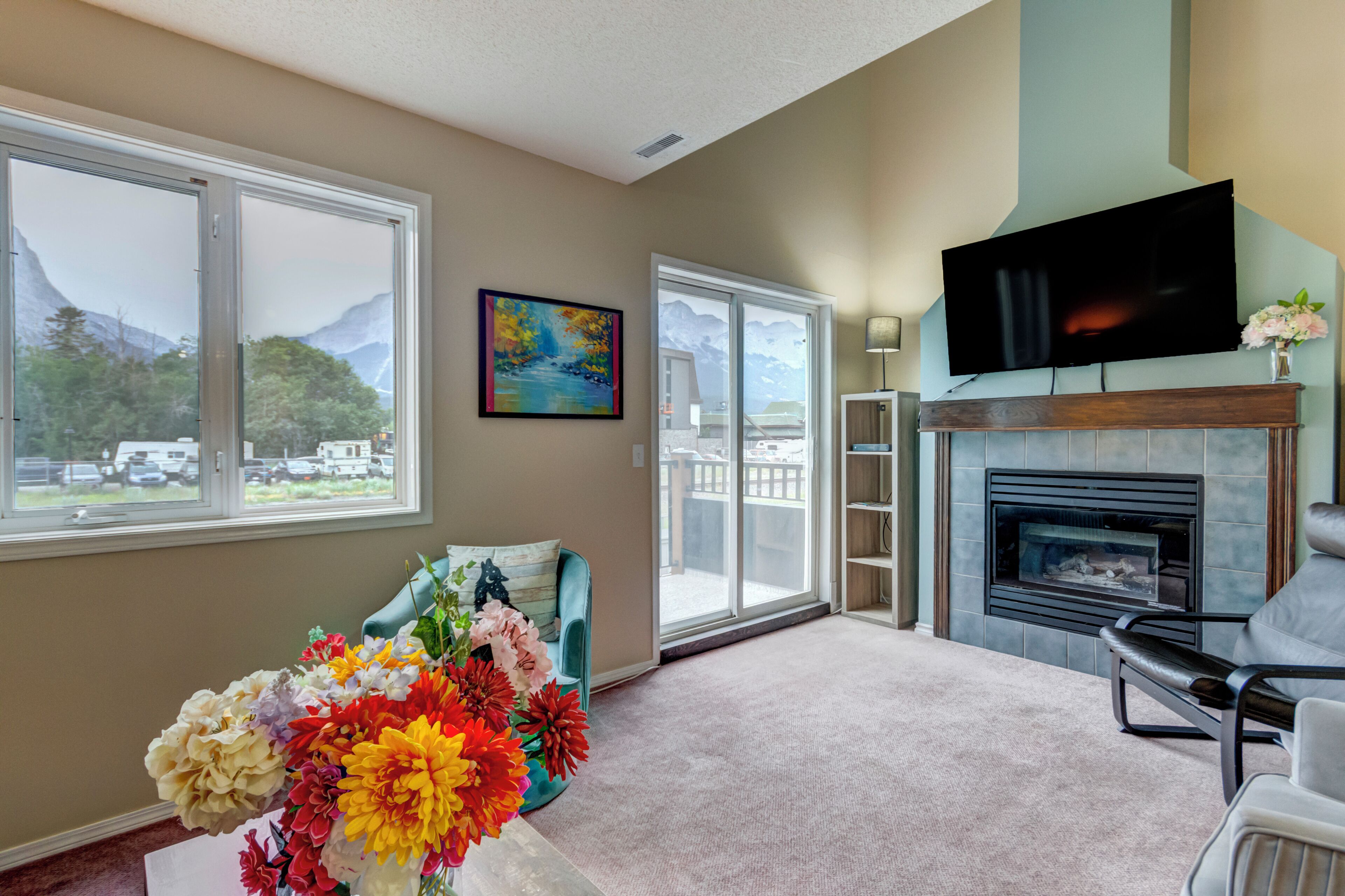 Smart TV, fireplace, books