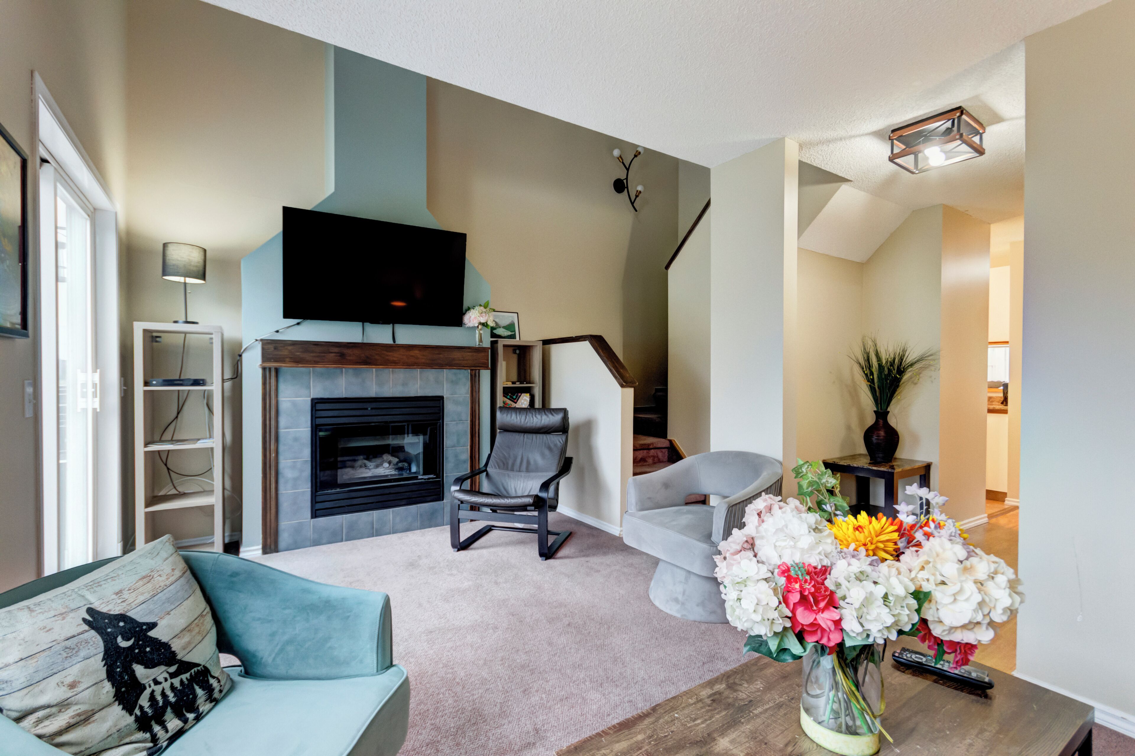 Smart TV, chimenea y libros 
