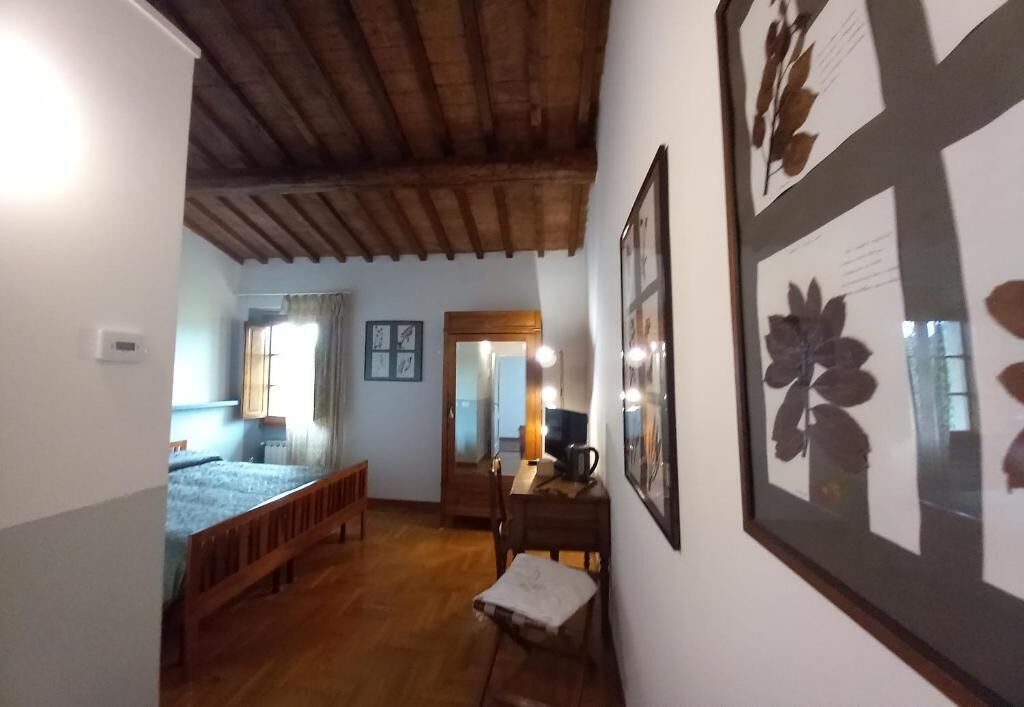 Wifi gratis y acceso para silla de ruedas 