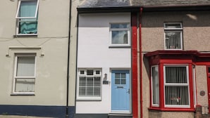 A row of terraced houses with distinct front doors and windows.